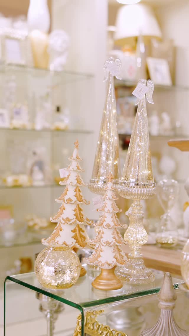 575188360 25700113649592386 1712859028894977088 n