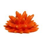 Riccio in ceramica magnete arancio