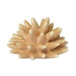 Riccio in ceramica magnete pesco