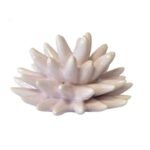 Riccio in ceramica magnete pink