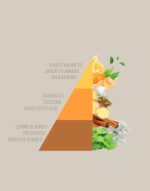 Diffusore a Spray Arancio e Cannella - immagine 2