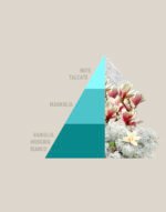 Profuma Bucato Bianco Infinito - immagine 2