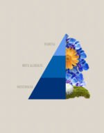 Profuma Bucato Blue - immagine 2