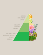 Profuma Bucato Odour off - immagine 2