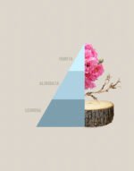 Profuma Bucato Fresh Cotton - immagine 2