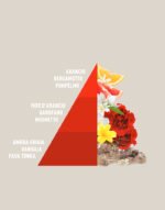 Profumabucato Imperial Soap - immagine 2