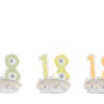 Calamita 18 in resina in tre colori