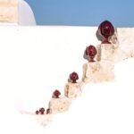 Pumo Classico Bordeaux - immagine 2