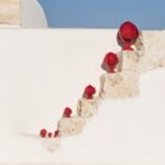 Pumo Classico Rosso - immagine 2