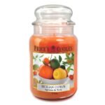 Candele Agrumi Siciliani Price's Candle