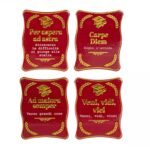 Calamita laurea in ceramica in quattro modelli