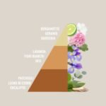 Profuma Bucato Elixir - immagine 2