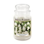 Candela profumata moments to Cheris grande