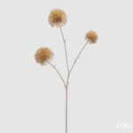 Ramo di Allium Oro 65cm