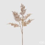 Ramo di Asparagus oro 80cm