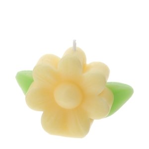 Candela Fiore Giallo