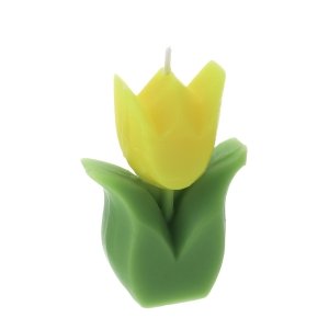 Candela Tulipano Giallo