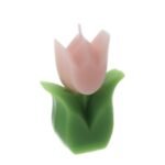 Candela Tulipano Rosa