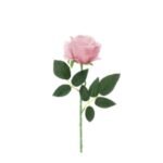 Rosa in Velluto Rosa 45cm