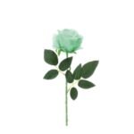 Rosa in Velluto Verde 45cm