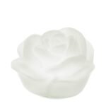 Rosa in Vetro Satinato a Led Bianca