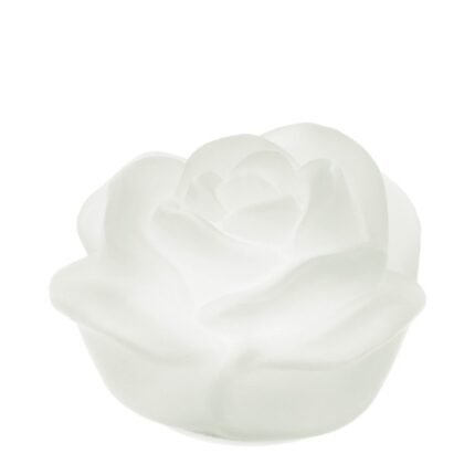 Rosa in Vetro Satinato a Led Bianca