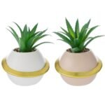 Vasetto Pianeta con Piantina 16cm