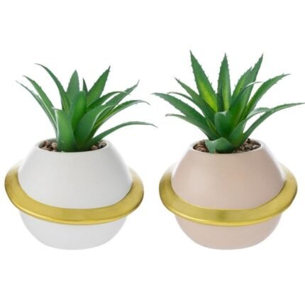 Vasetto Pianeta con Piantina 16cm