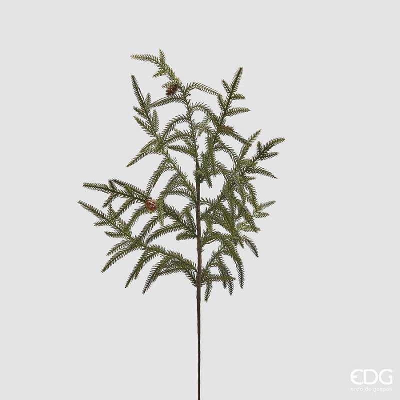 Cryptomeria Ramo Natalizio 68cm EDG di Enzo De Gasperi