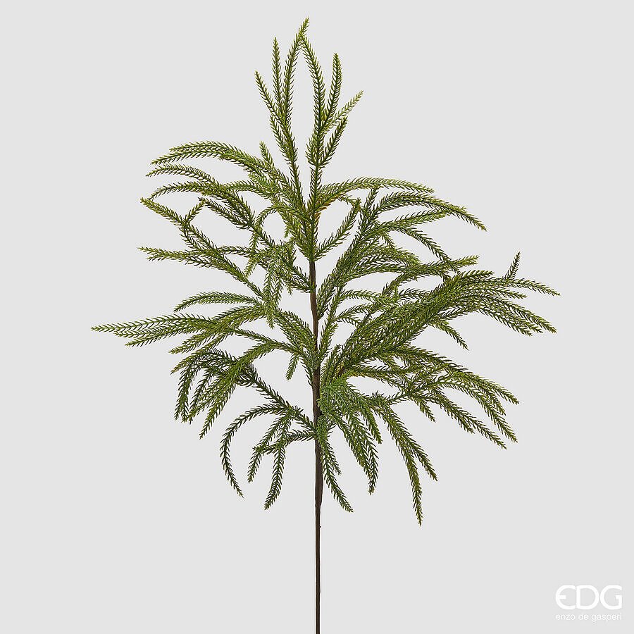 Cryptomeria Ramo Natalizio 85cm EDG Enzo De Gasperi Cryptomeria Ramo Natalizio 85cm EDG Enzo De Gasperi
