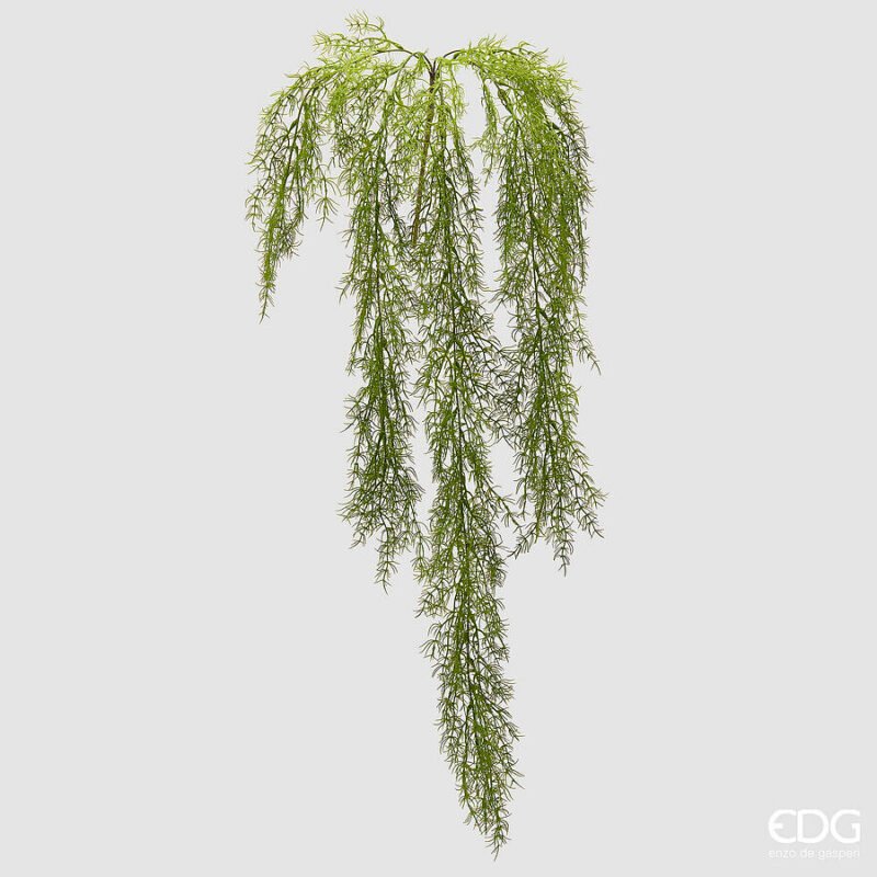 Erba Palustre Cadente 106cm