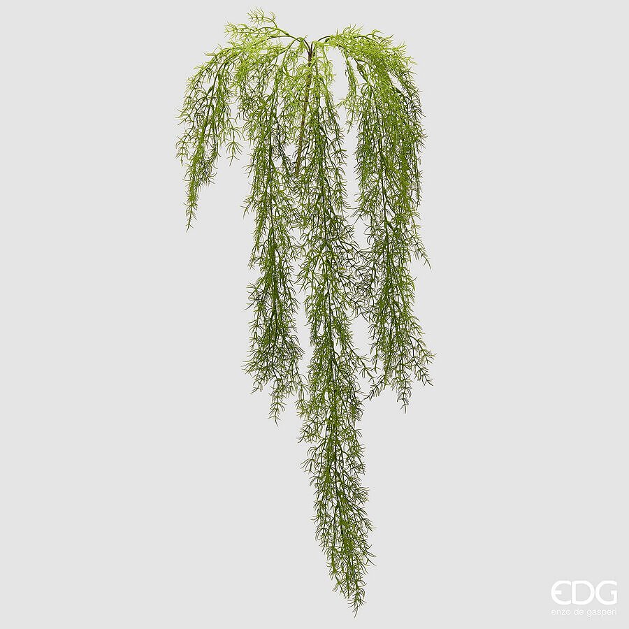 Erba Palustre Cadente 106cm EDG Enzo De Gasperi Erba Palustre Cadente 106cm
