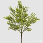 Erba Palustre Cespuglio Verde 55cm
