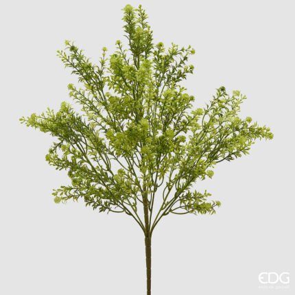 Erba Palustre Cespuglio Verde 55cm