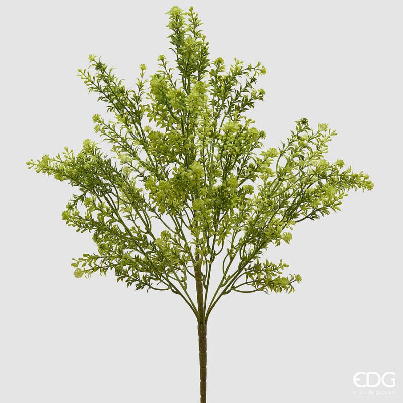 Erba Palustre Cespuglio Verde 55cm