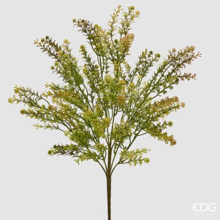 Erba Palustre Cespuglio Verde Secco