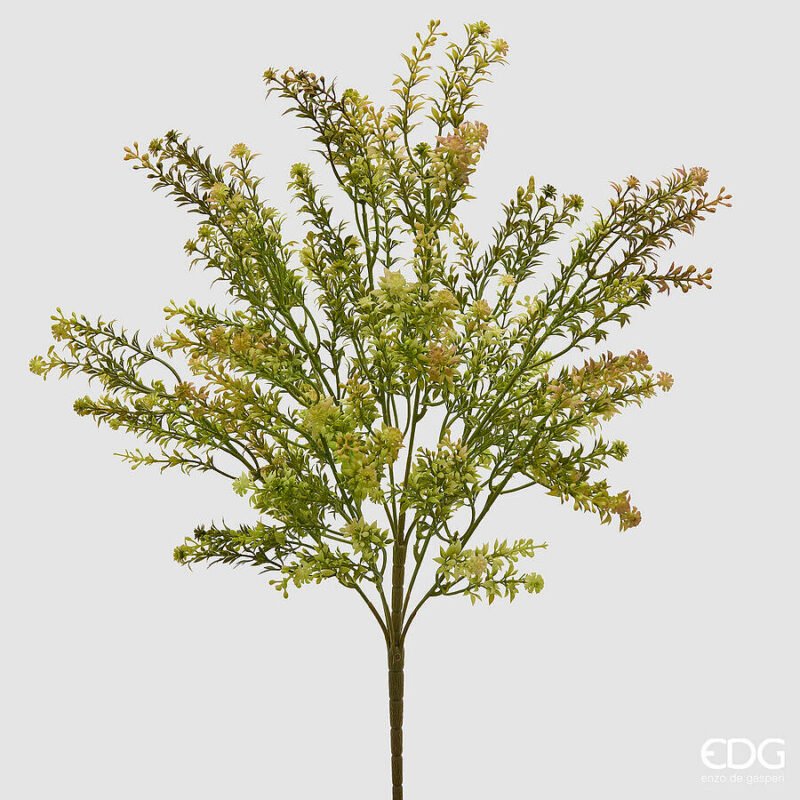 Erba Palustre Cespuglio Verde Secco