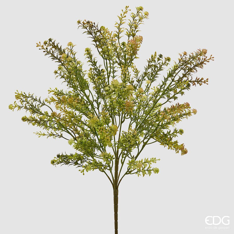 Erba Palustre Cespuglio Verde Secco di EDG Enzo De Gasperi Erba Palustre Cespuglio Verde Secco
