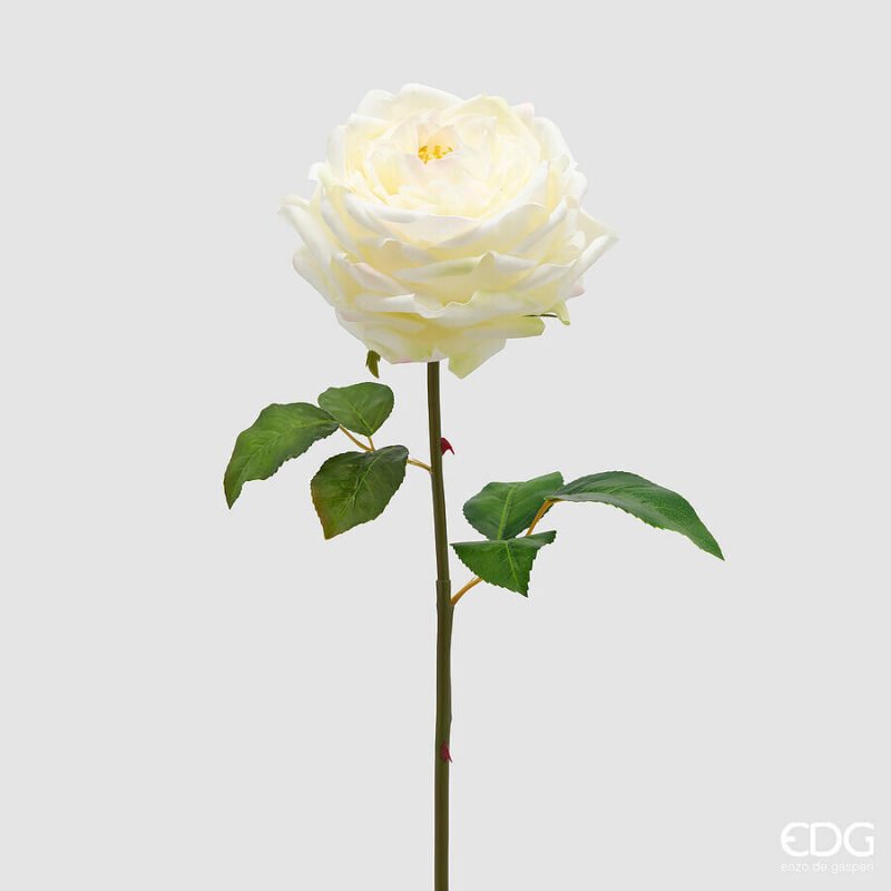 Rosa Inglese Bianca Ramo 50cm