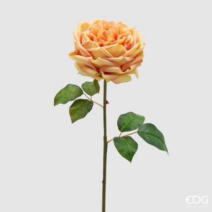 Rosa Inglese Gialla Ramo 50cm